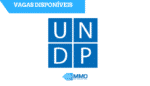 United Nations Programme